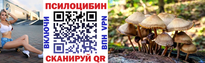 сайты даркнета Telegram  Белая Холуница  Галлюциногенные грибы Psilocybine cubensis  где продают наркотики 